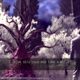 Image for article titled I Didn’t Expect To Like Deadly Premonition So Much